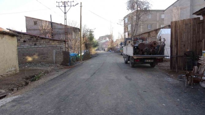 Yüksekova’da Kurt Sürüsü Şehre İndi