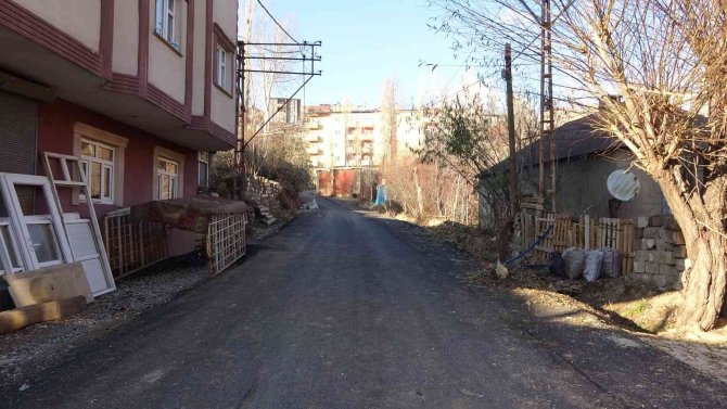 Yüksekova’da Kurt Sürüsü Şehre İndi