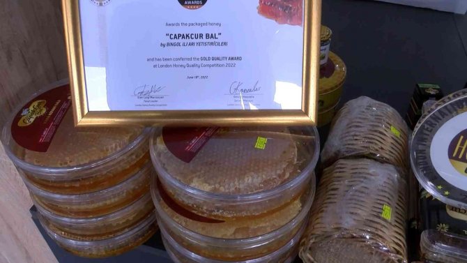 Maltepe’de Bingöl Rüzgarı Esti