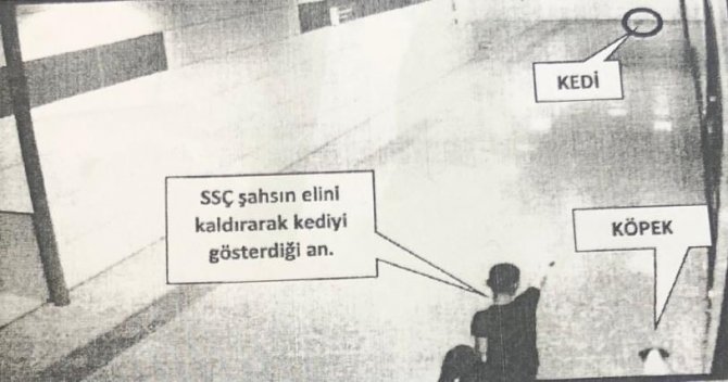 Vezneciler Kedisine Köpek Saldırtarak Öldürdüğü İddia Edilen Şahıs Hakkında Suç Duyurusu