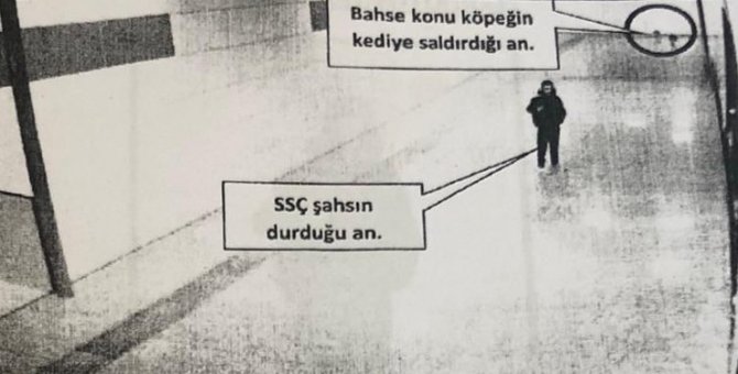 Vezneciler Kedisine Köpek Saldırtarak Öldürdüğü İddia Edilen Şahıs Hakkında Suç Duyurusu
