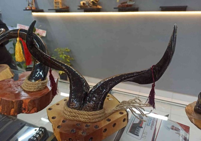 Mezbahadan Çıkan Boynuzlar Süs Eşyasına Dönüşüyor