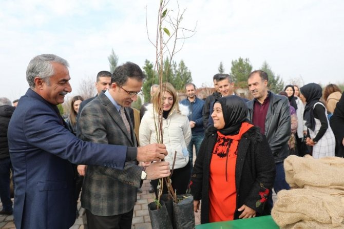 Kayapınar Belediyesi 36 Bin Fidan Dağıttı