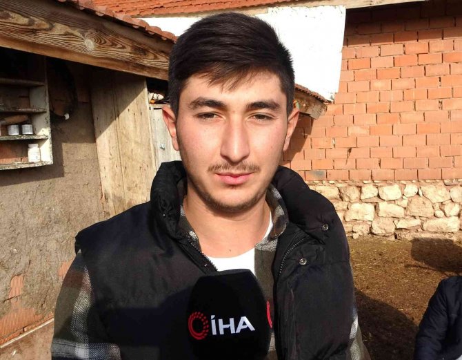 Felçli Kuzuya Yürüteç Yaptı