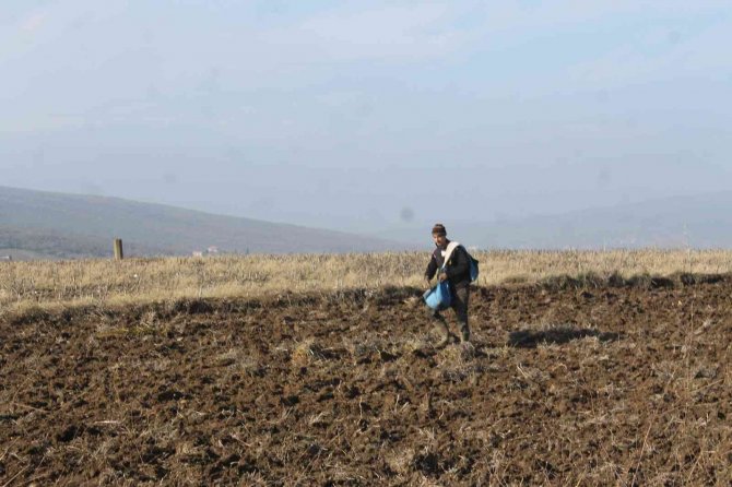 Manyas’ta Hububat Toprakla Buluştu