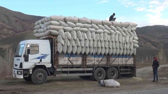 Muş’ta İhtiyaç Fazlası Saman Çevre İllere Gönderiliyor