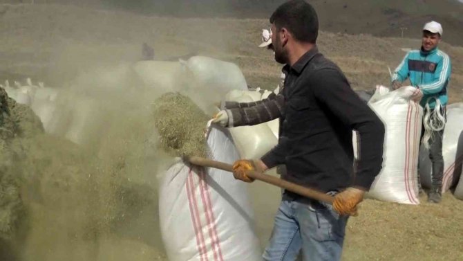 Muş’ta İhtiyaç Fazlası Saman Çevre İllere Gönderiliyor