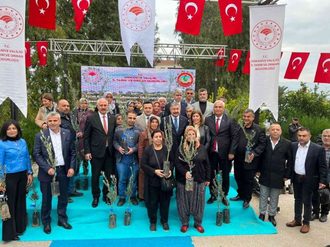 Osmaniye’de Zeytincilik Gelişiyor
