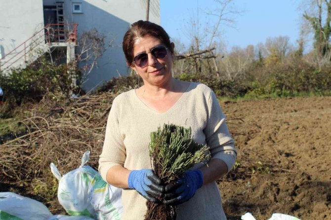 Kurduğu Lavanta Bahçesiyle Arkadaşına Örnek Oldu
