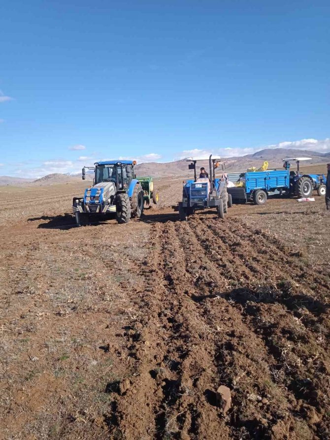 Adana’da Islah Edilen Mera Alanı 73 Bin 802 Dekara Çıkacak