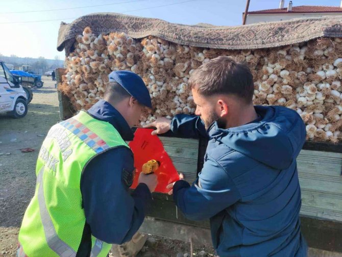 Sarımsak Pazarında Traktör Sürücülerine Reflektör Dağıtıldı