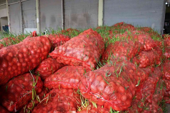 Şanlıurfa’da 22 Ton Çürümüş Soğan Ele Geçirildi