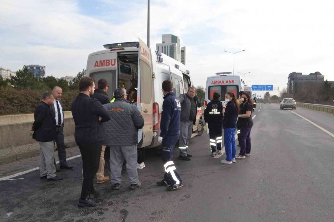 Yolda Gezen Köpek Kazaya Neden Oldu: 3 Yaralı
