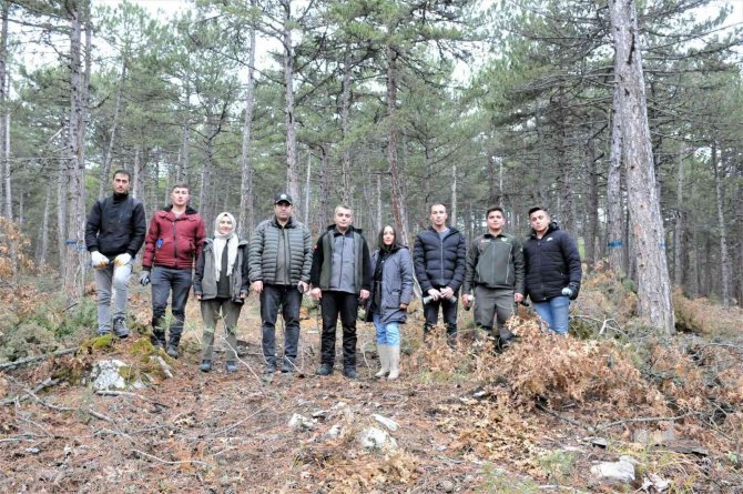 Altıntaş Akbayır Orman İ̇şletme Şefliği’nde Uygulamalı Tatbikat