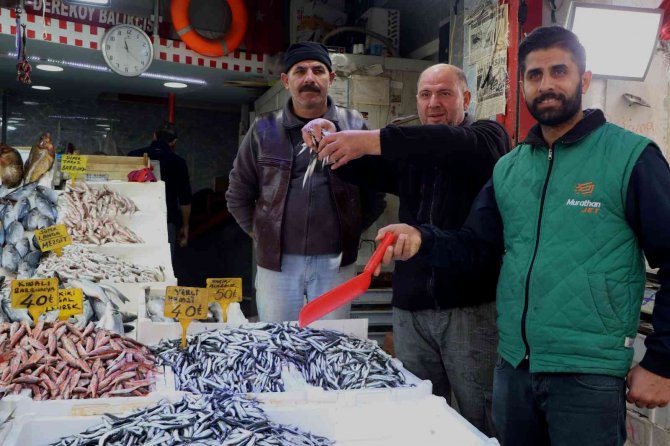 Palamuda Doyan Vatandaş Hamsiye Yöneldi