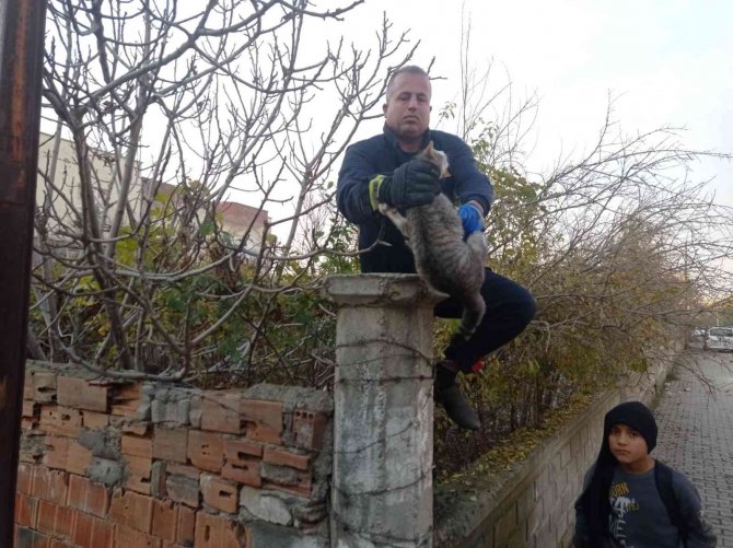 Batman’da Dikenli Tele Dolanan Kedi İtfaiye Ekiplerince Kurtarıldı