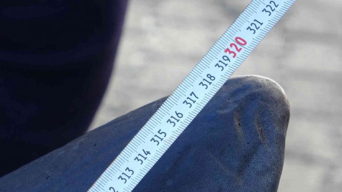 Bingöl’de 3 Metrelik Köpek Balığı İlgi Odağı Oldu