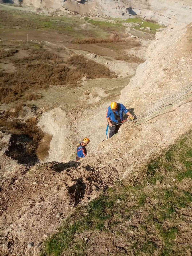 Diyarbakır’da Mahsur Kalan Keçiler Ölümün Kıyısından İki Gün Sonra Kurtarıldı