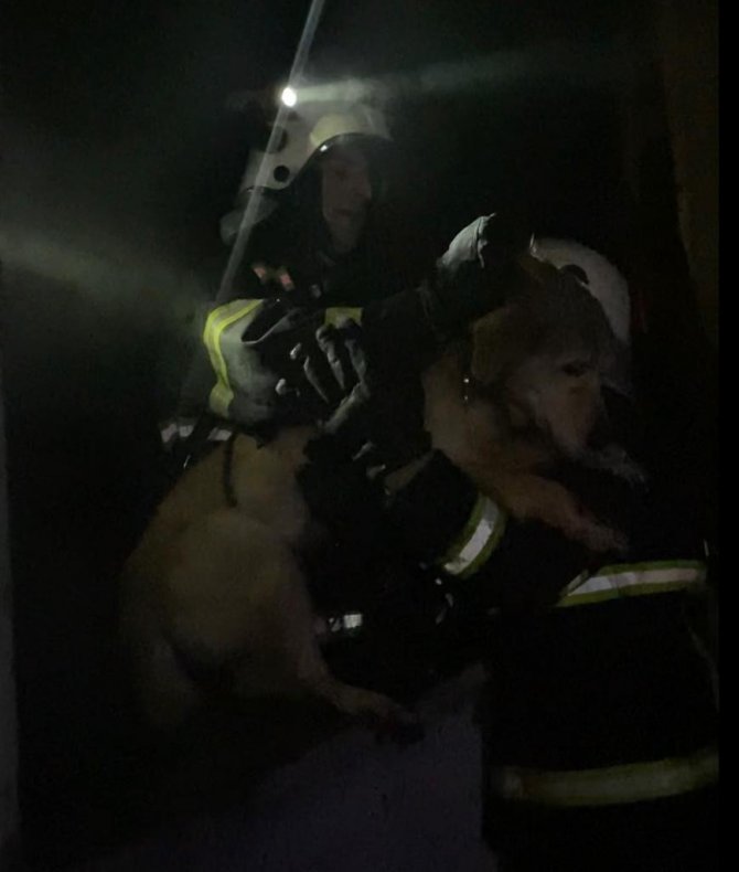 Yangını Söndürüp Mahsur Kalan Köpeği Kurtardılar