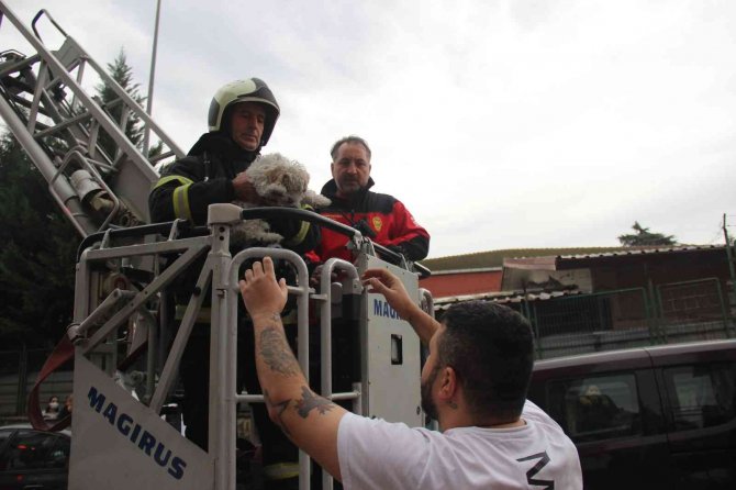 İ̇ha Muhabirine Çirkin Saldırı