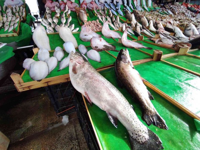 Tezgahlarda Somon Kıtlığı