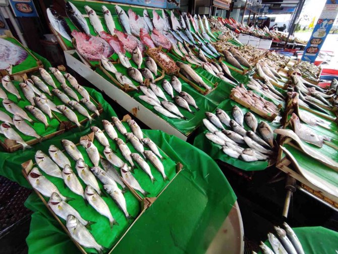 Tezgahlarda Somon Kıtlığı