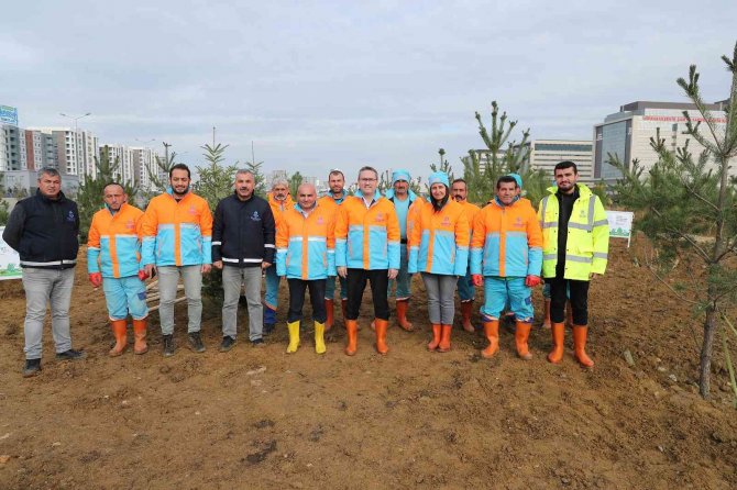 Başakşehir’de Yeşil Alan Miktarı 11 Milyon Metrekareyi Geçti