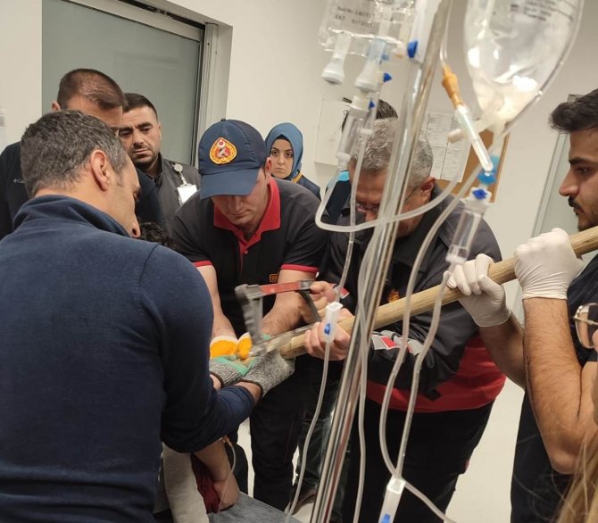 Hayvanlarına Ot Almaya Çalışırken Koluna Yabanın Dişleri Battı
