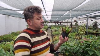 Yurt Dışından Getirdiği Sinek Ve Böcek Yiyen Bitkiler Büyük İlgi Görüyor