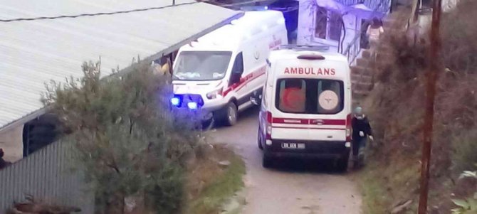 Virajı Alamayan Otomobil, Uçurumdan Hayvan Damının Üzerine Düştü: 7 Yaralı