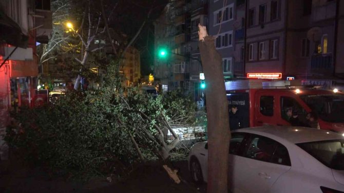 Bursa’da Şiddetli Lodosun Etkisiyle Kırılan Ağaç, Park Halindeki Otomobilin Üzerine Düştü