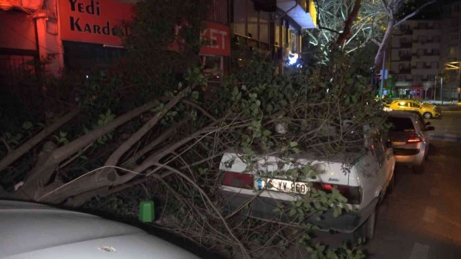Bursa’da Şiddetli Lodosun Etkisiyle Kırılan Ağaç, Park Halindeki Otomobilin Üzerine Düştü
