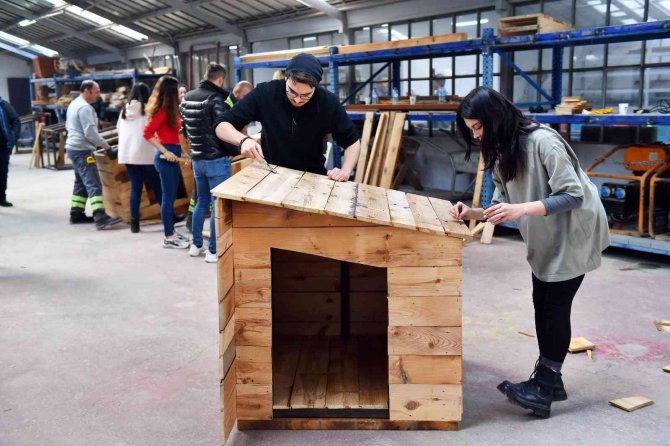 Geri Dönüşüm Atölyelerinde Üretilen Köpek Kulübeleri Kullanılmaya Başlandı