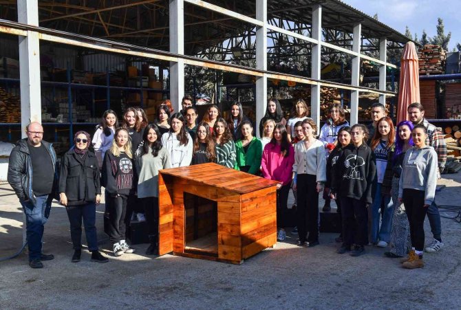 Geri Dönüşüm Atölyelerinde Üretilen Köpek Kulübeleri Kullanılmaya Başlandı