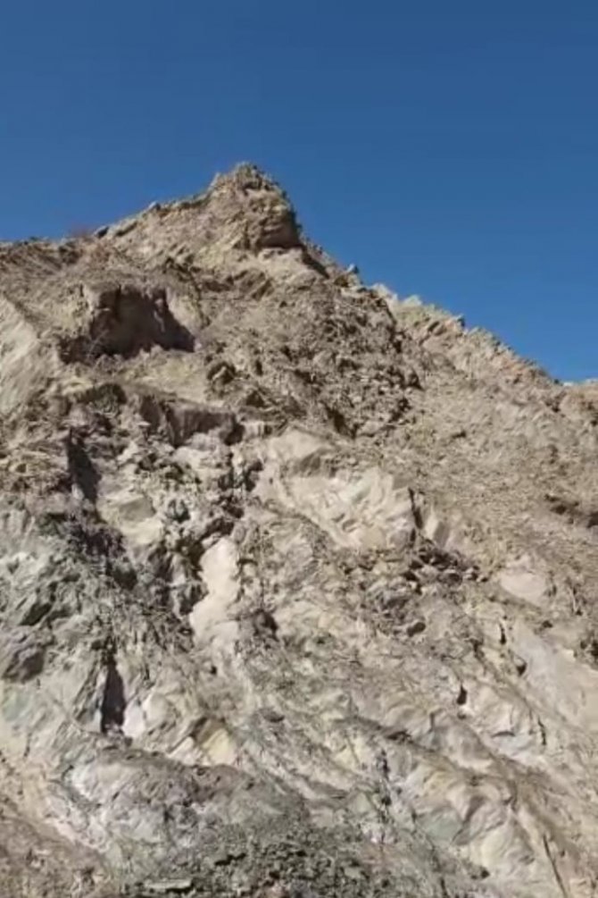 Hakkari’de Dağ Keçilerinin Popülasyonu Arttı