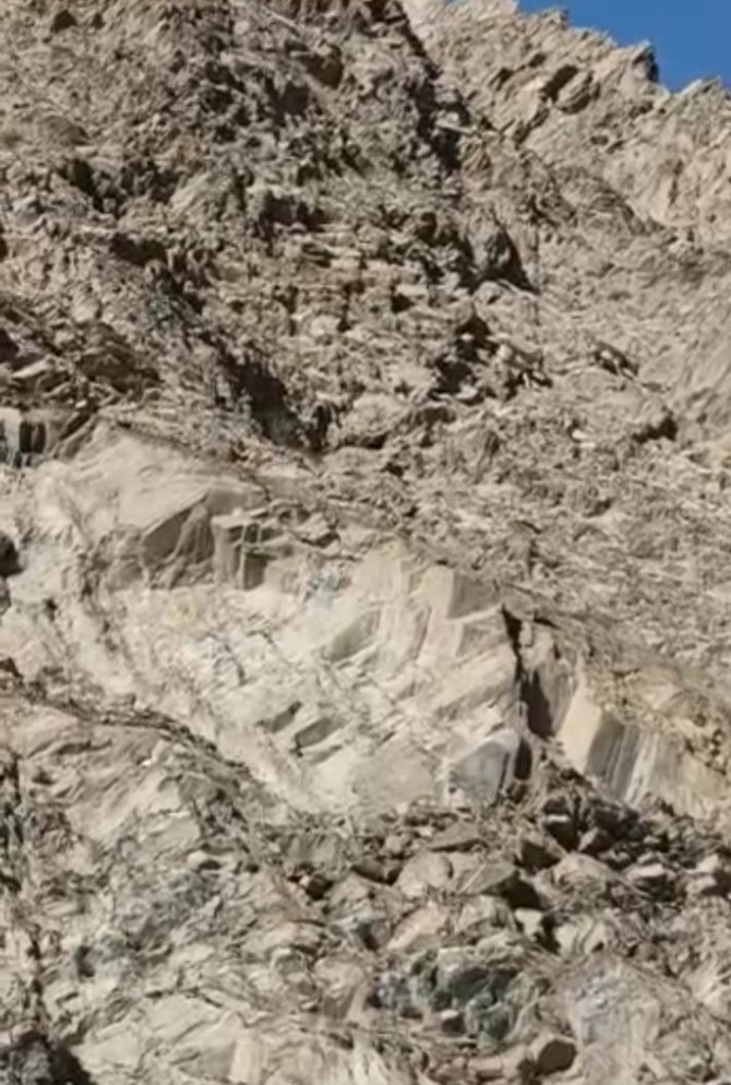 Hakkari’de Dağ Keçilerinin Popülasyonu Arttı