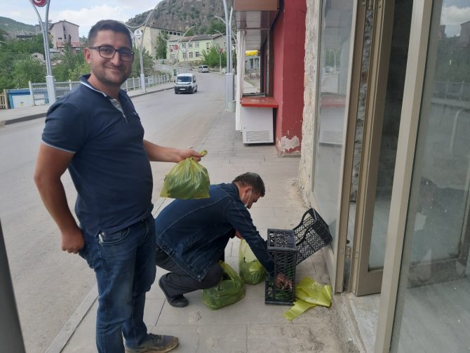 Çukurca’da Çilek Hasadı