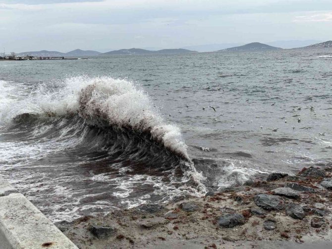 İ̇stanbul’u Lodos, Kadıköy’ü Kırmızı Yosunlar Vurdu