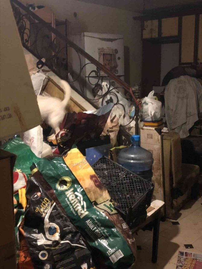 Evde Çok Sayıda Kedi Ve Köpek Ölüsü Bulundu