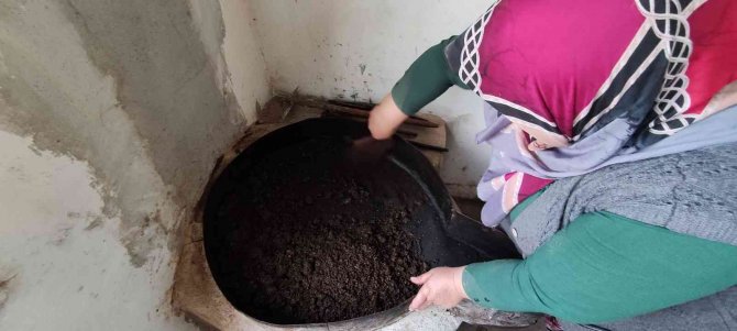 Ormandan Toplanan Meyvenin Yağını Gram Gram Çıkartıyorlar