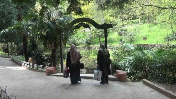 Şifa Merkezi Termal Tesisler 2022’de Doldu Taştı