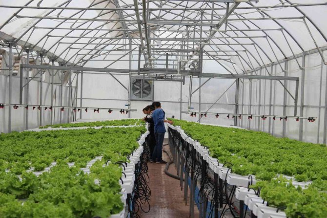 Ziraat Fakültesi Gibi Lise: Öğreniyor, Üretiyor Ve Kazanıyorlar