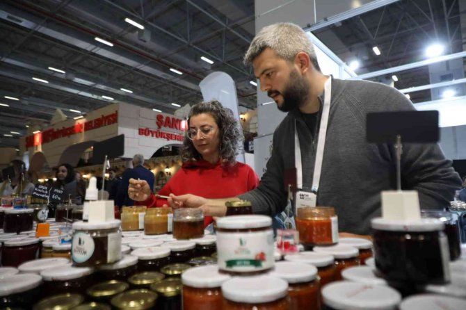 Düzce Fuara Bambaşka Bir Hava Kattı