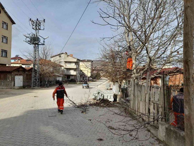 Pazarlar’da Ağaç Budama Çalışmaları