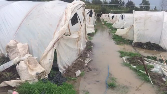 Antalya’da Çilek Seraları Sular Altında Kaldı