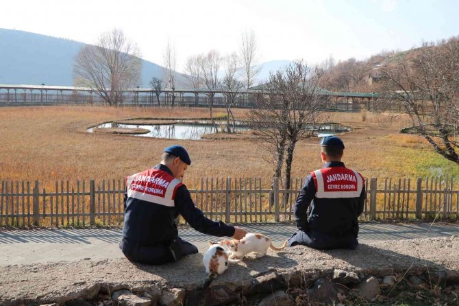 Bingöl’de Haydi̇ Görev Başında