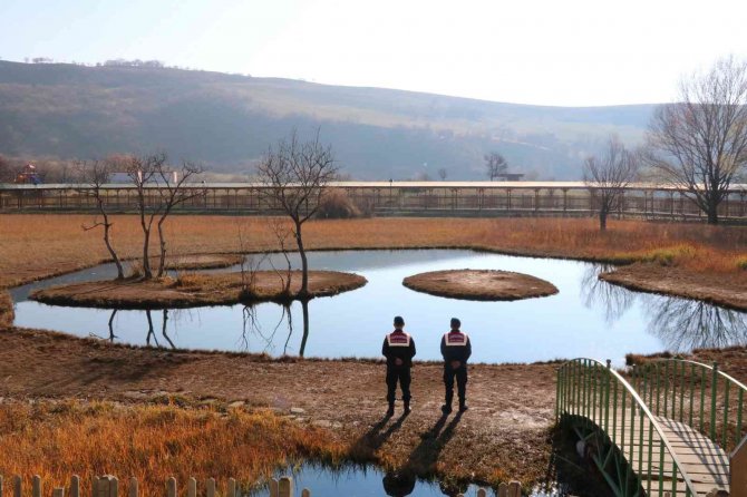 Bingöl’de Haydi̇ Görev Başında