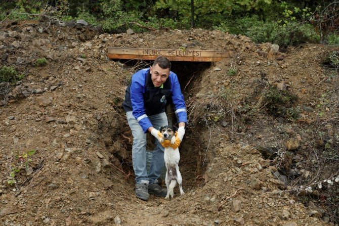İ̇negöl’de E-devlet Üzerinden Hayvan Sahiplenme İşlemi Başladı