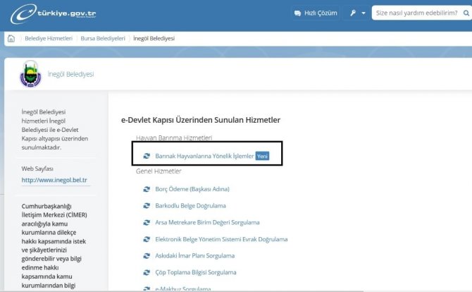 İ̇negöl’de E-devlet Üzerinden Hayvan Sahiplenme İşlemi Başladı