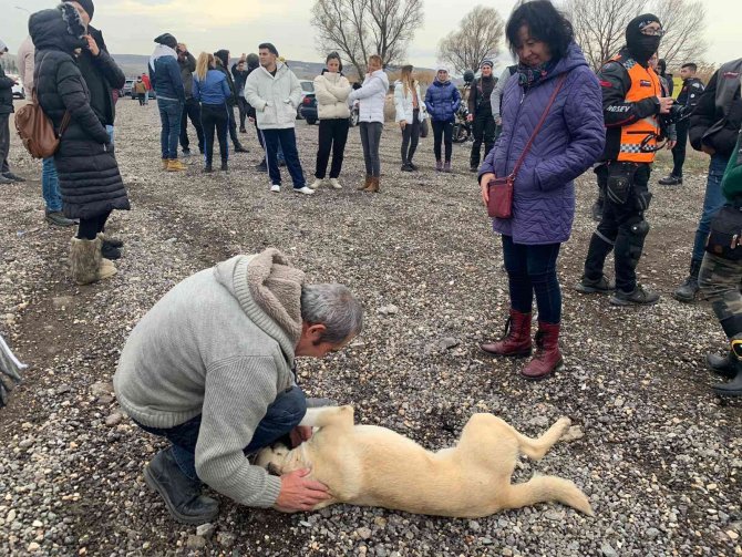 İ̇nsanları Merhamete Davet Ettiler